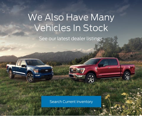 Ford vehicles in stock | White's Canyon Ford in Spearfish SD